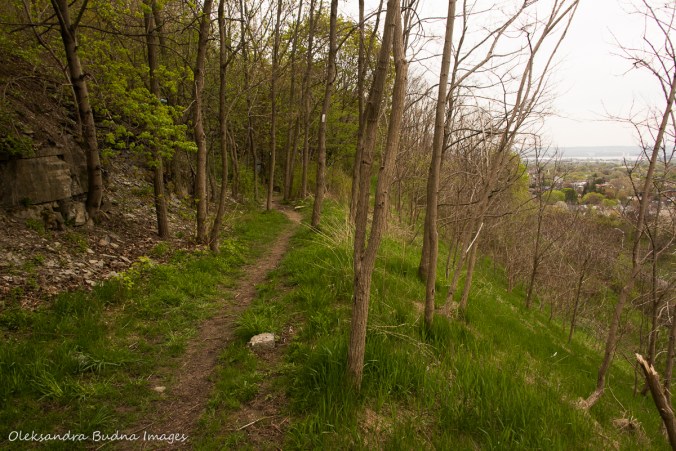 Bruce Trail in Hamilton