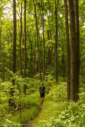 walking at Hockley Valley Nature Reserve