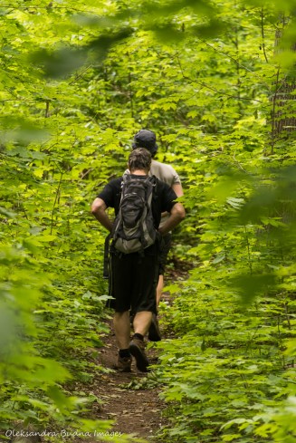 walking at Hockley Valley Nature Reserve