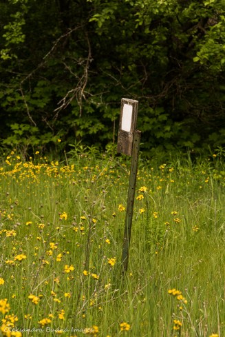 Bruce Trail marker at Hockley Valley Nature Reserve