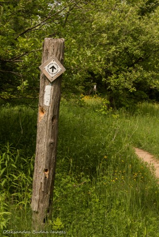 Bruce Trail marker at Hockley Valley Nature Reserve