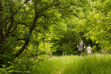 walking at Hockley Valley Nature Reserve