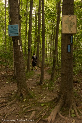 walking at Hockley Valley