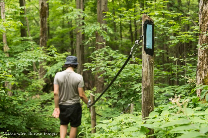 walking at Hockley Valley Nature Reserve