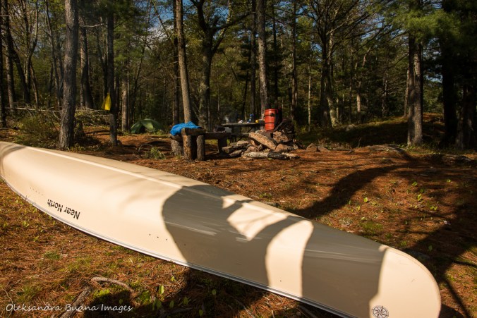 campsite 500 on Sparkler Lake iN Kawartha Highlands