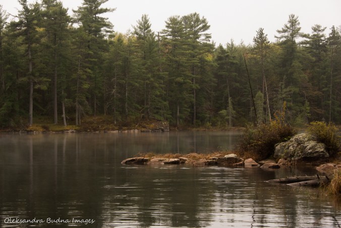 foggy evening on Sparkler Lake in Kawartha HighlandsLake 
