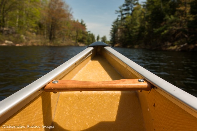 canoe bow on the lake
