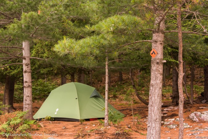 tent on a campsite