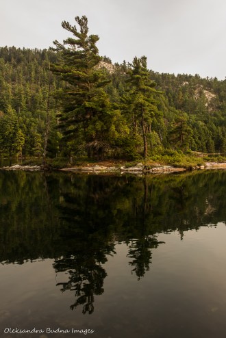 island on Grace Lake in Killarney Provincial Park