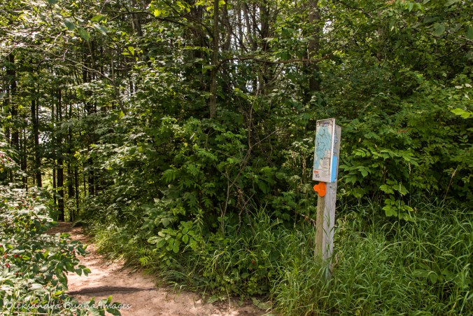 Nassagaweya Canyon Trail