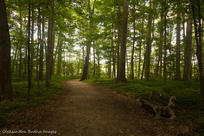 trail at Crawford Lake Conservation Area