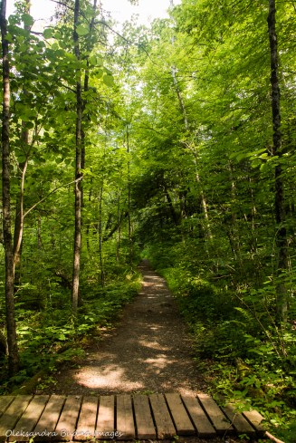 Bruce Trail in Nassagaweya Canyon