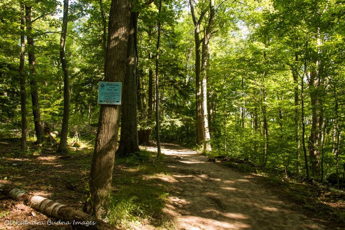 Rattlesnake Poitn side trail