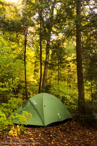 tent on the backcountry campsite on Parkside Bay in Algonquin in the fall