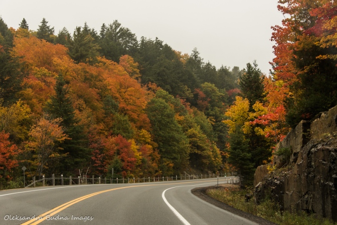 highway 60 in Algonquin in the fall