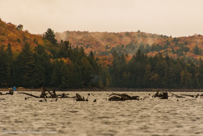 Rugged lake in Algonquin in the fall