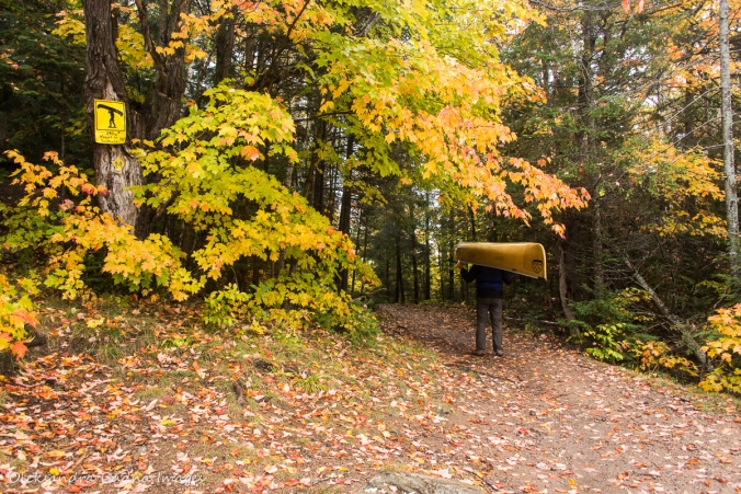 portaging from Rugged Lake to Smoke Lake in Algonquin in the fall