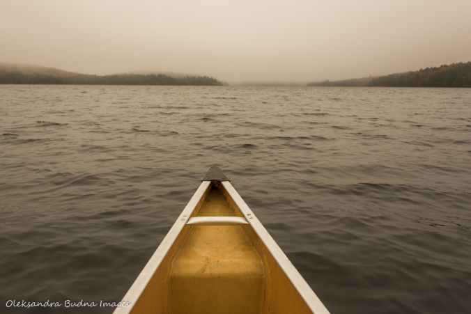 paddling on Smoke Lake in Algonquin in the fall