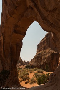 pine tree arch in Arches National Park