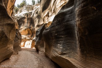 Willis Creek in Grand Escalante