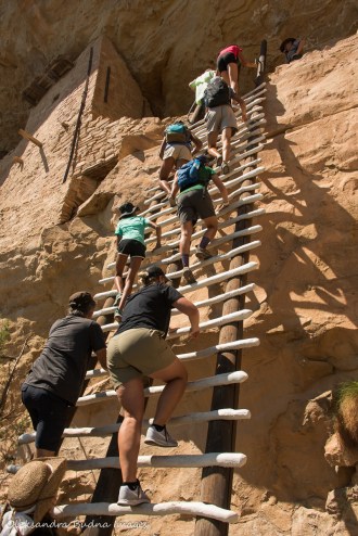 climbing a ladder to Balcony House in Mesa Verde