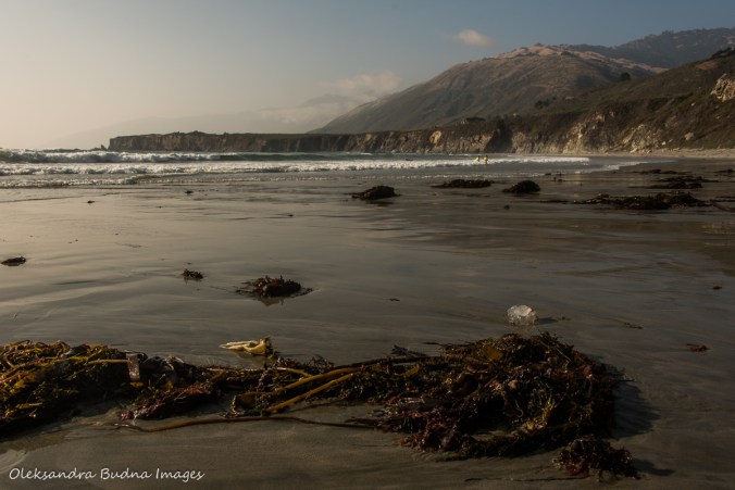 Sand Dollar beach in California