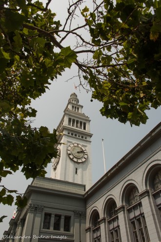 Ferry Plaza Farmers Market in San Francisco