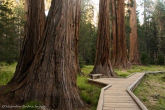 Sequoia National Park