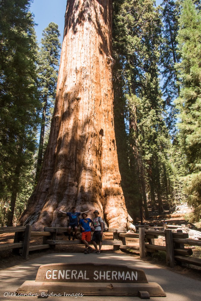 in front of General Sherman tree in Sequoia National Park in California