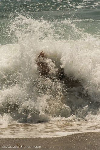 swimming in the ocean