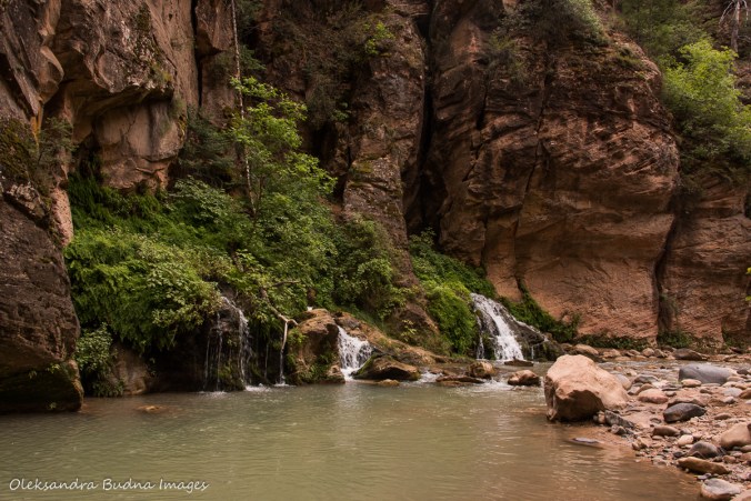 Big Creek in The Narrows in Zion