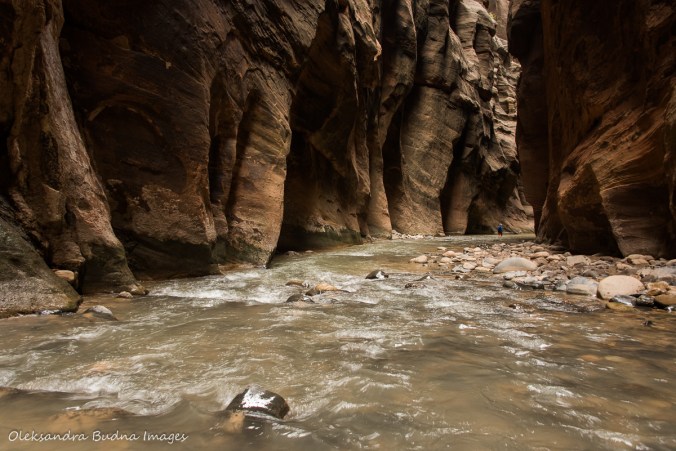The Narrows in Zion