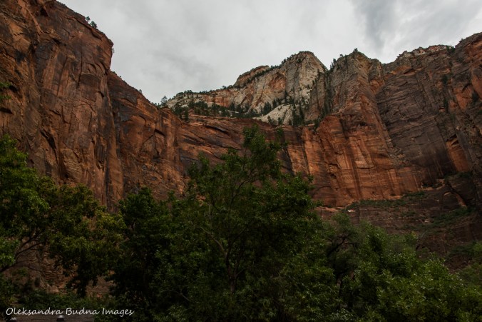 Temple of Sinawawa at Zion National Park