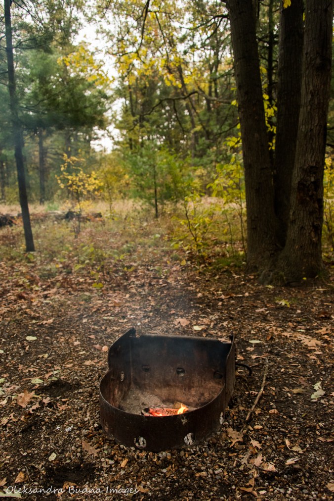 campfire at Pinery