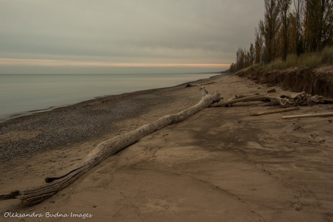 beach at Pinery in the fall