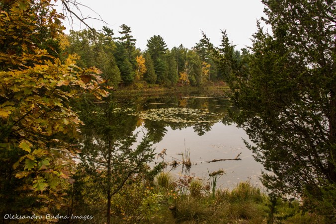 Old ausable Channel in Pinery in the fall