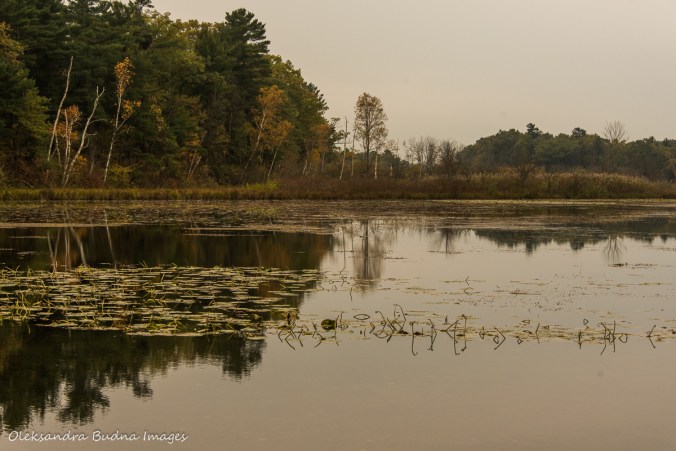 Old Ausable Channel in the fall