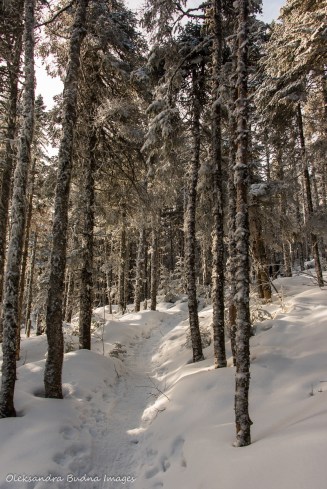 snowshoeing in Parc national du Mont-Mégantic in Quebec