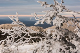 snow frozen around tree branches at Parc national du Mont-Mégantic