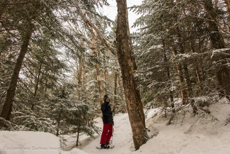 snowshoeing in Parc national du Mont-Mégantic in Quebec