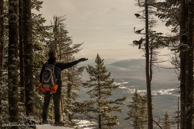 envoying the view from La Revelation at Parc national du Mont-Mégantic