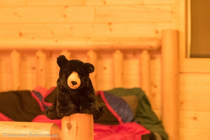 Stuffed black bear toy in the Black Bear's Den cabin at Silent Lake Provincial Park