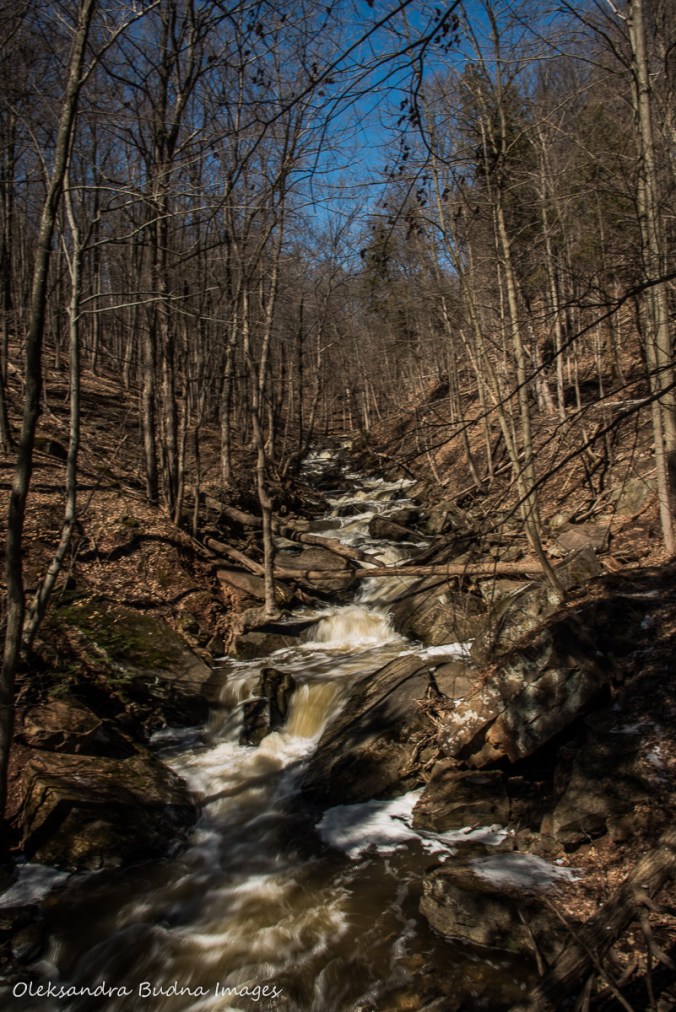 Grindstone Creek near Bruce Trail