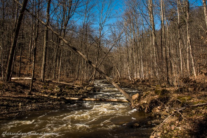 Grindstone creek near Bruce Trail in the spring