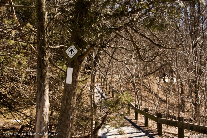 Bruce Trail near Smokey hollow waterfall