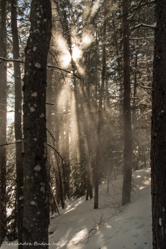 winter at Windy Lake Provincial Park