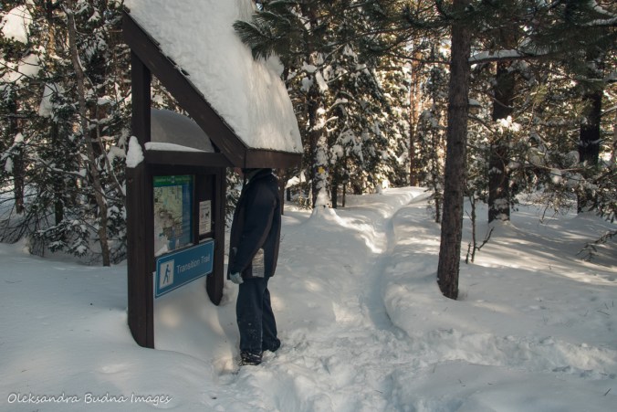 looking at the Transition Trail map in the winter