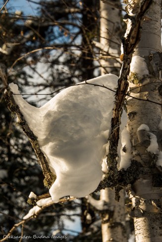 winter at Windy Lake Provincial Park