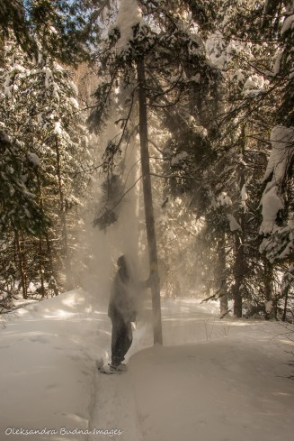 snowshoeing along the transition trail at Windy Lake provincial park in the winter