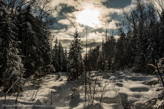 winter at Windy Lake